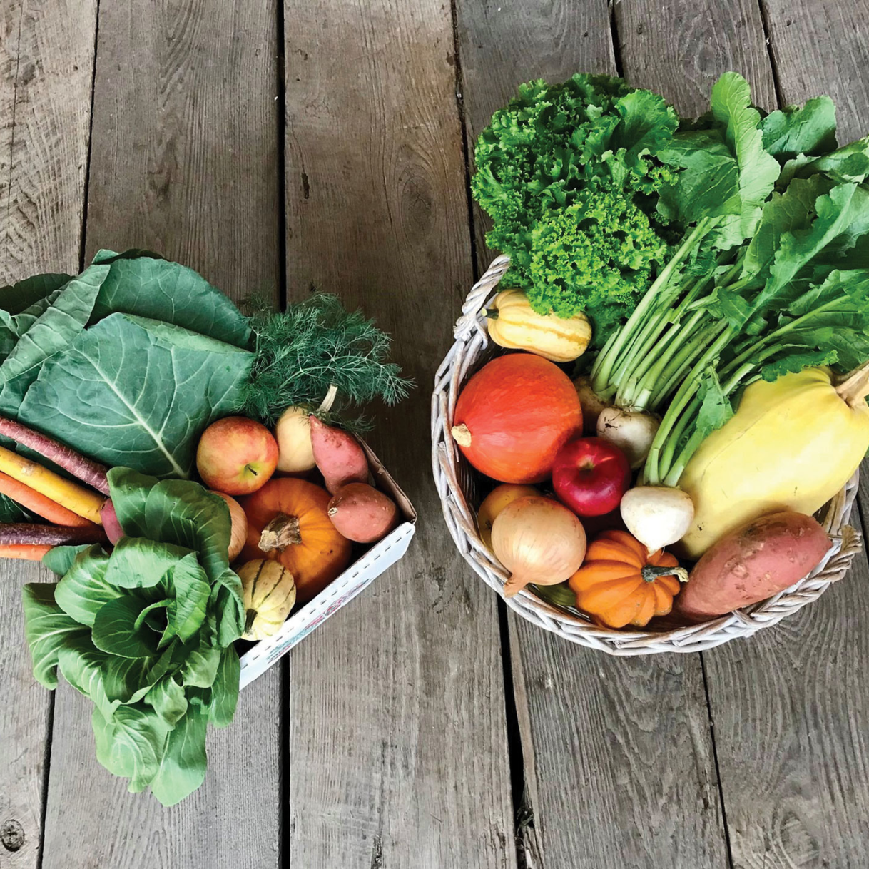 The Food Issue 2021: Loving the Land